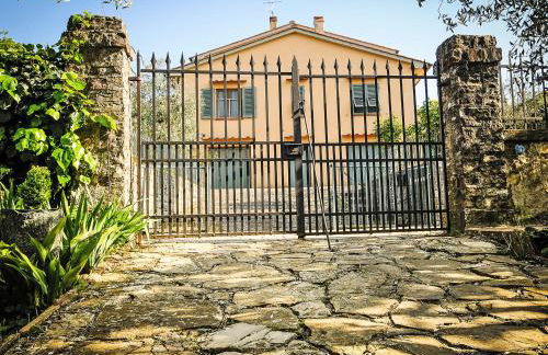 Apartment Matteuzzi by Interhome - Foto 30