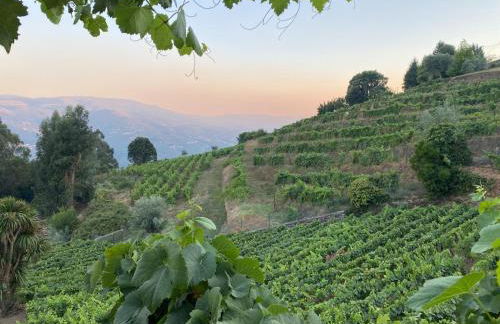 Villa Samaritana - Casa da Vinha - Photo 55