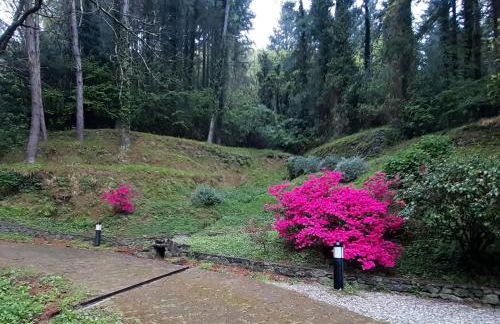 Il Bosco di Campo Marzano studios - Foto 9