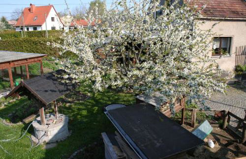 Ferienwohnung Nicklich - Photo 13