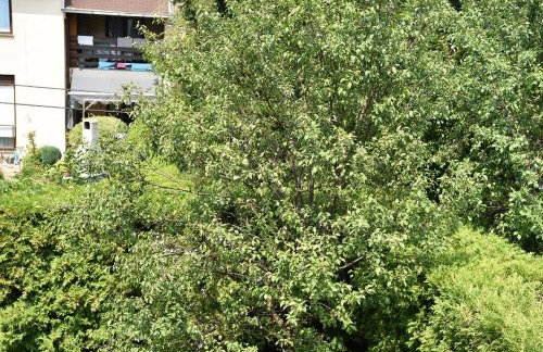 Apartman Jadranka - Foto 6