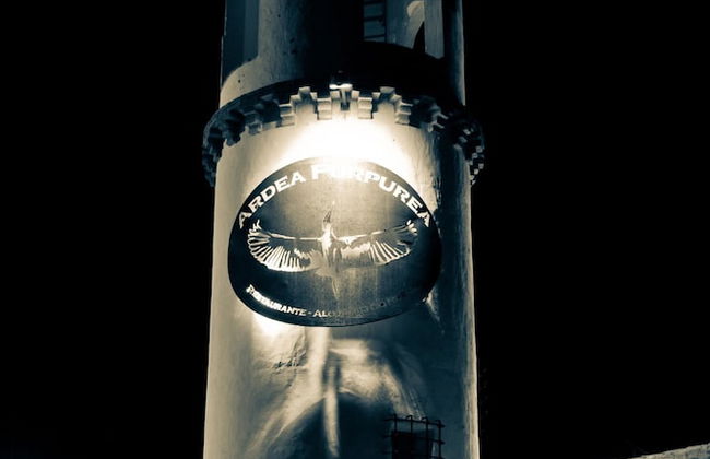 Ardea Purpurea Lodge - Photo 54