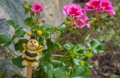 Mas De La Bolp - Chalet - Foto 50