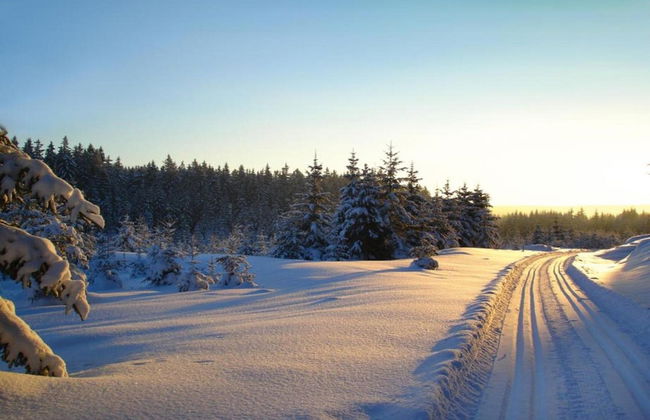 Ferienhaus mit Schwimmbad in Jagersgrun - Foto 36