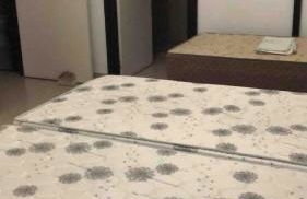 Recanto nas Montanhas - Chácara Santa Rita - Foto 13