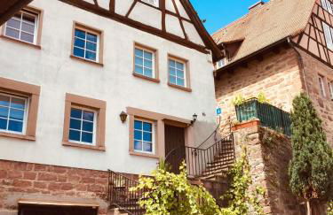 Neckarblick,Natur, Altstadt - Photo 15