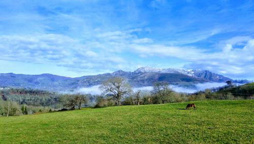 Finca el Palacio - Foto 4