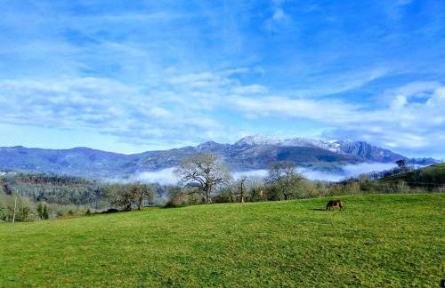 Finca el Palacio - Foto 4