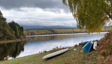 Old School - Photo 3