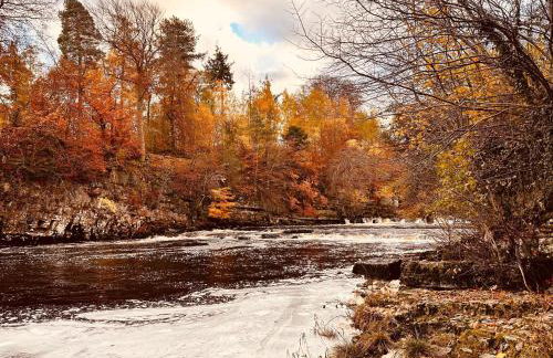 Galboly Cottage - Photo 40