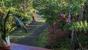 Local Living in Volcano Hawaii Breeze&5 mins to Volcano National Park - Foto 3, Garden, Garden view