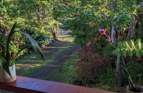 Local Living in Volcano Hawaii Breeze&5 mins to Volcano National Park - Foto 3