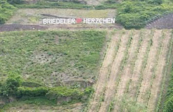 Casa Servatius - Foto 31