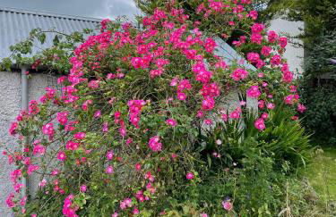 Lock-house, Blackwatertown, UK - Foto 19