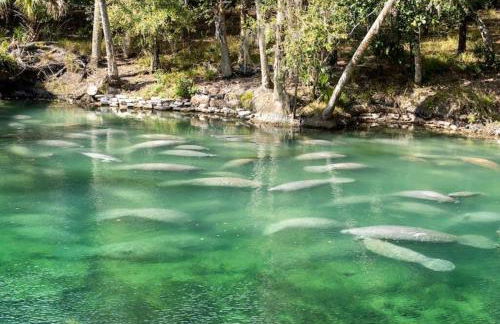 Beach Break House by the Surf - Foto 24