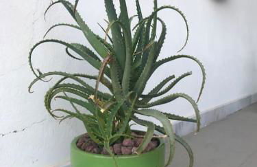 Vistas Cerro Negro - Foto 26