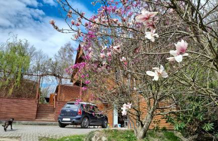 Chata Górska Sowa, Cały Dom tylko dla Was - Foto 8