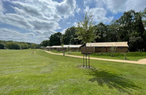 Bumble Lodge New Forest - Foto 36