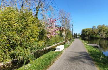 Cabane bleue des Hortillonnages - Foto 25