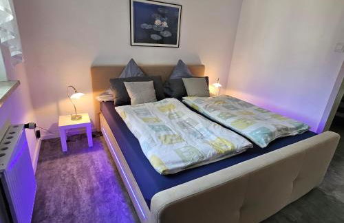 Apartments am Saalebogen mit Gartenterrasse, Grillkamin und freie Parkplätze - Foto 42