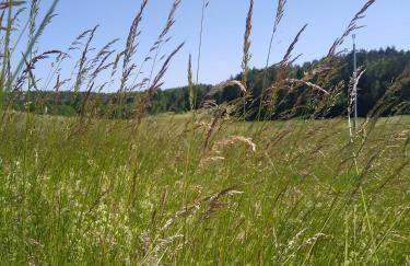 Ptasi Zakątek - Foto 18