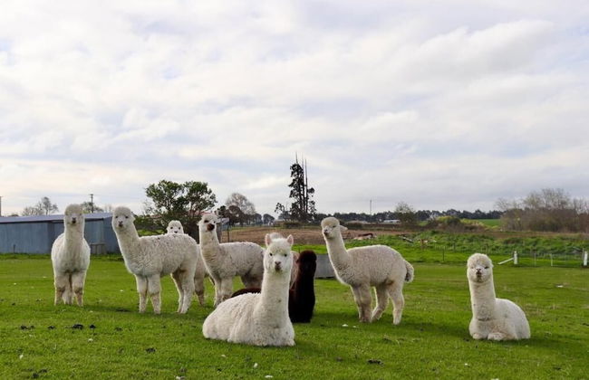 Teschemakers Resort - Foto 24