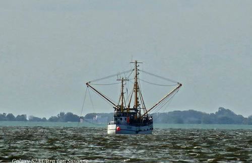 Familienfreundliche FeWo für 6 Personen - Photo 23