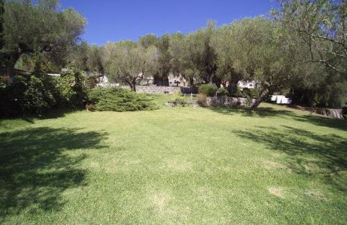 Pie' d'Ulivo - Foto 114