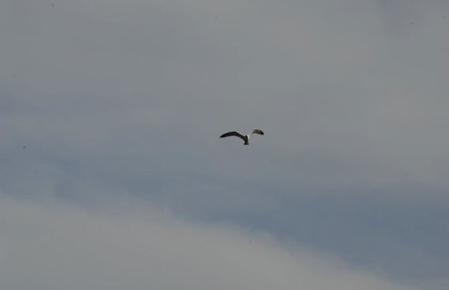 Dandy on the Beach Fisherman s Maisonette Private Sea View Quiet Up to 5 - Photo 37