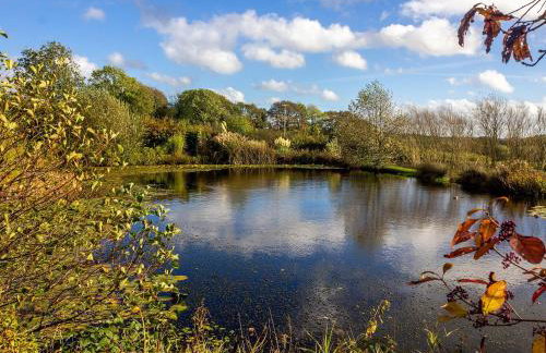 The Oak Stall - Uk11023 - Foto 17