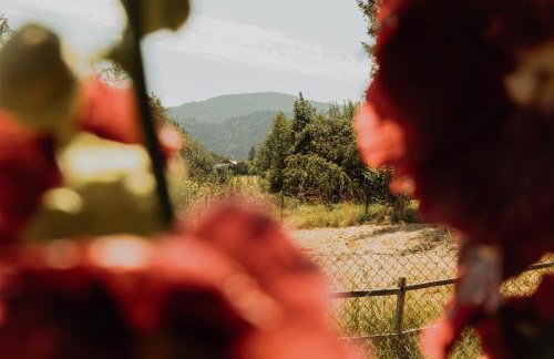 Noclegi na Wzgórzu Sopotnia Wielka - Foto 32