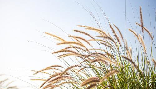 Villa Plaka 16 - 'The Roof' - Drepano, Nafplio - Foto 5