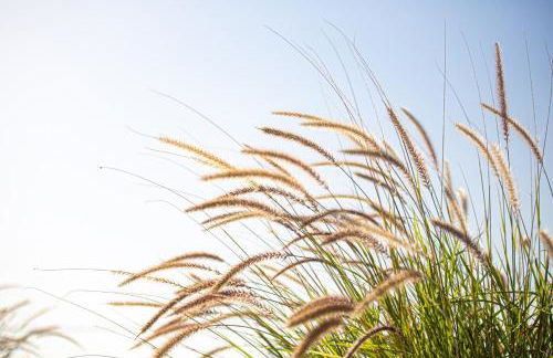Villa Plaka 16 - 'The Roof' - Drepano, Nafplio - Foto 5