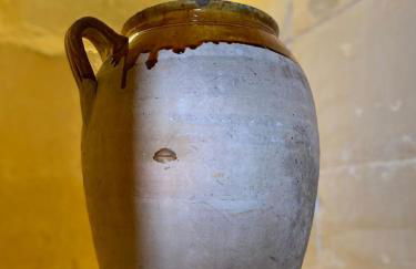 Uliveto Sant' Isidoro - Foto 15