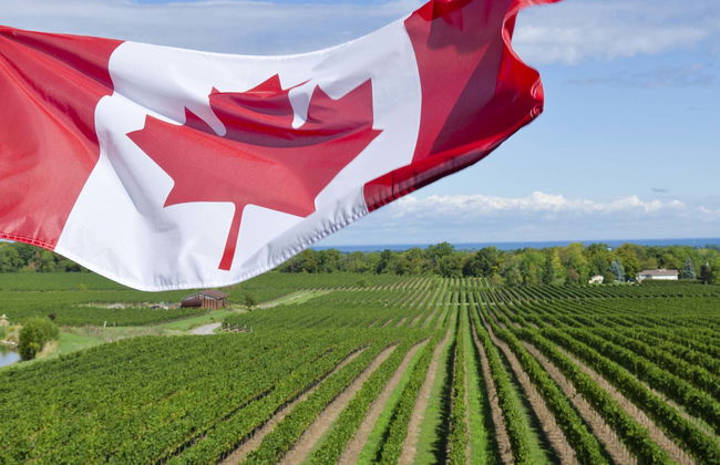 Food & Wine Tour + Niagara-on-the-Lake Day Trip - Foto 1