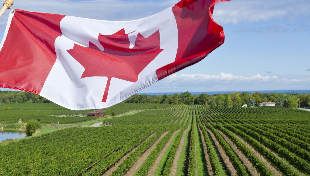 Excursión a Niagara-on-the-Lake + Fábrica de chocolate y bodega