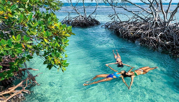 Entre a vegetação do ilhéu