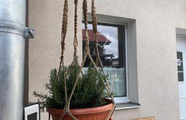 Meine schöne Ferienwohnung in der Nähe der Spree - Foto 3