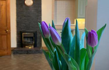 Ringfort Manor - Foto 29