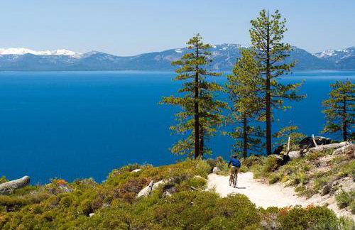 Mountain Escape - Lake Tahoe - Incline Village - Private Garage - Foto 28