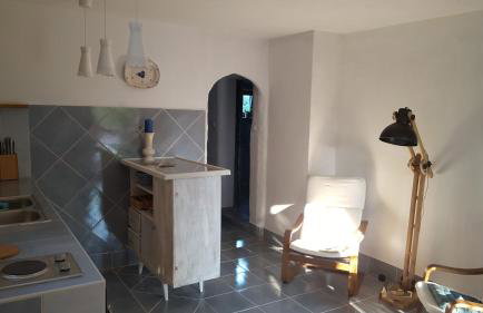 Tvrdic Honey - Photo 18