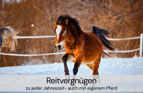 TinyHousebeiDresden mit Faßsauna unser größtes winziges Häuschen für bis zu 7 Personen, Kaminofen, große Terrasse - Nähe Sächsische Schweiz - Von Juni - September Mindestmietzeit 1 Woche Sa-Sa - Foto 31