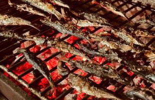 Casa Claudia Radazul - Foto 14