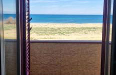 Arancina Abbronzata - Foto 6