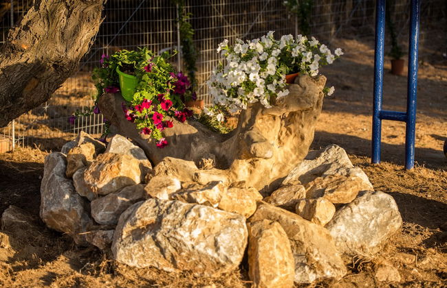 Aadonis Villa - Foto 27