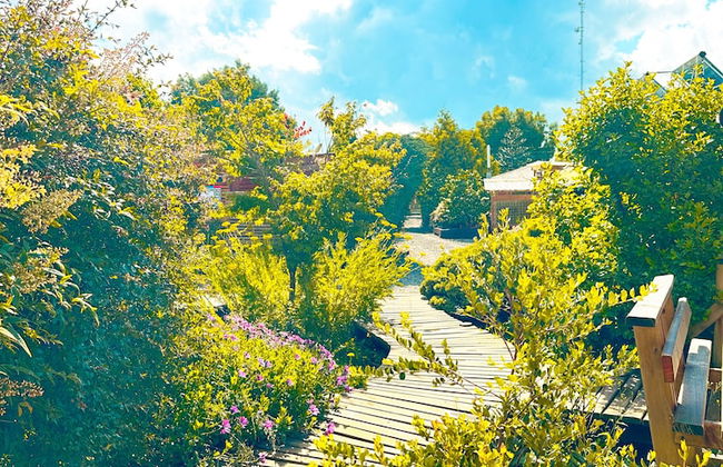 Cabañas Pewma Futrono - Foto 65