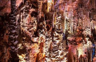 Le cabanon - Foto 18