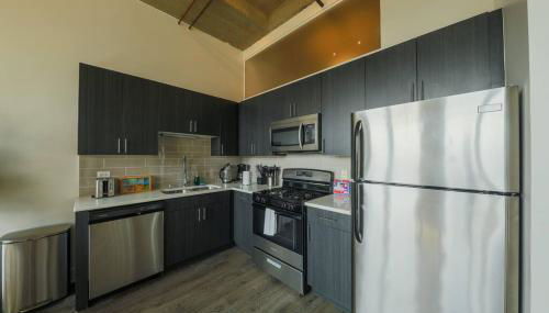 Walkable 2BR Apartment in Chicago South Loop with Optional Parking and Gym Access Near McCormick Place, Museum Campus & Lakefront - Foto 2, stove, dishwasher, toaster, minibar