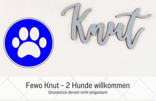 BUDDE4 Fewo Knut - Early Check-in, Haustier, extralange Betten - Foto 21