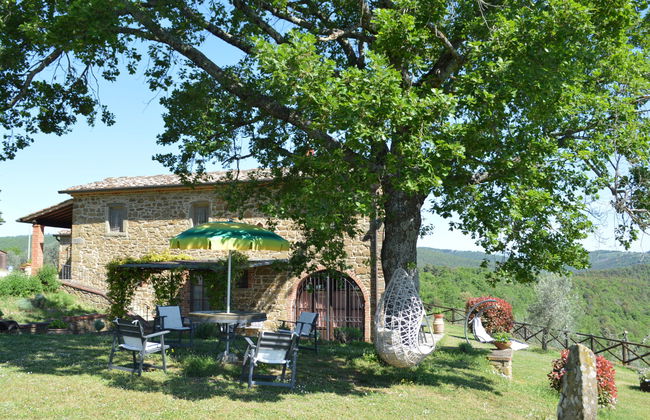 A spasso tra gli ulivi - Foto 41